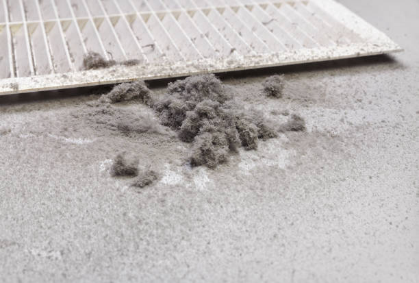 Best HVAC System Cleaning  in Cypress Gardens, FL